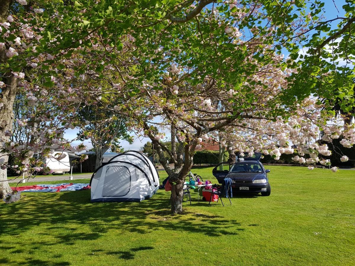 Levin Top 10 Holiday Park Exterior photo